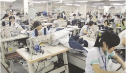 Những chính sách mới có hiệu lực từ ngày 1/1/2016